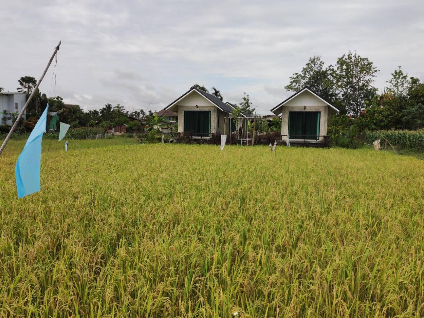Vieng Pua Homestays Нан Экстерьер фото